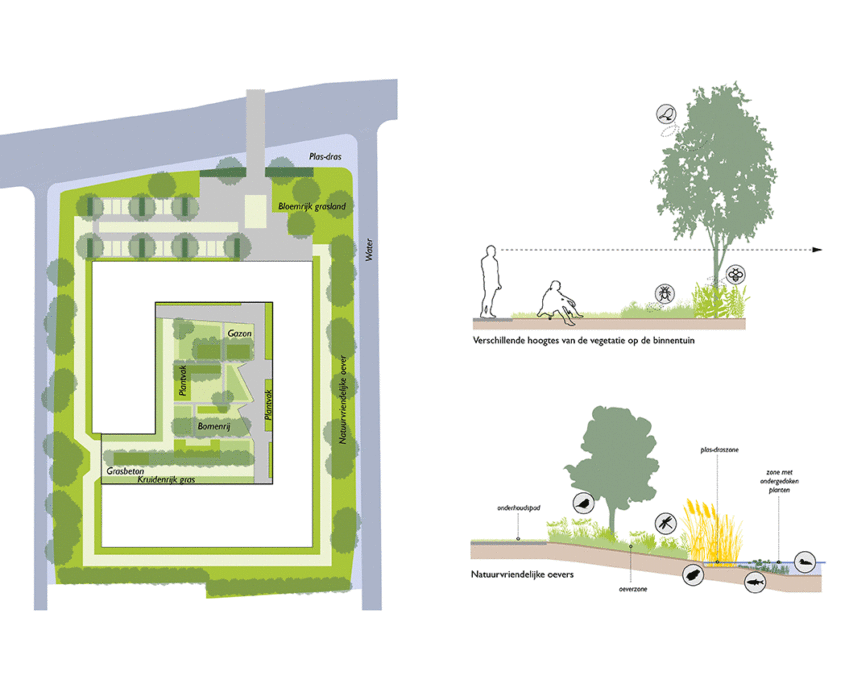 Ecologische opzet