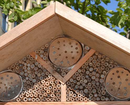 het insectenhotel raakt vol