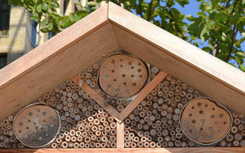 het insectenhotel raakt vol