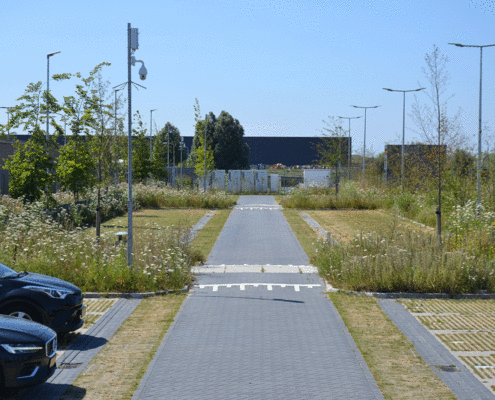 het-parkeerterrein