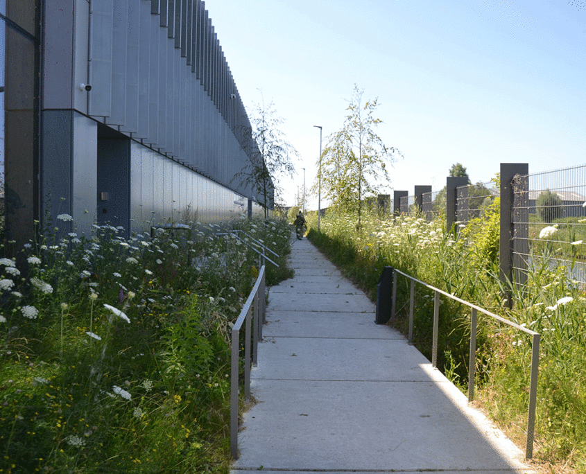 het-wandelpad